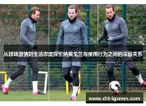从球场激情到生活态度探索纳英戈兰与使用行为之间的深层关系 从球场激情到生活态度探索纳英戈兰与使用行为之间的深层关系